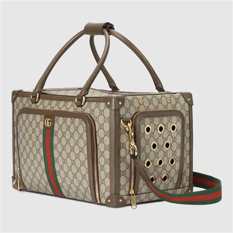 gucci cat carrier